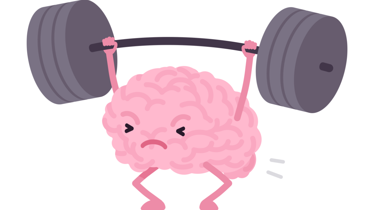 Illustration of brain neural pathways, symbolizing the rewirings that occur from building disciplined daily habits.
